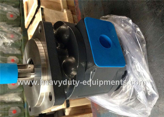 Cina Engineering Construction Equipment Spare Parts Industrial Hydraulic Pumps LW280 WZ3025 51 Shaft Extension pemasok